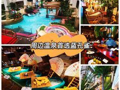 -齐河孔雀王温泉酒店·金孔雀自助百汇