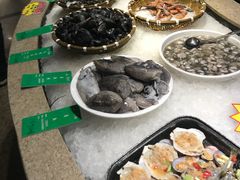 -海中洲渔社