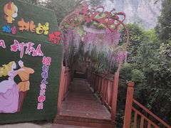 -神农山景区