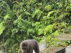 -西岭雪山大飞水景区
