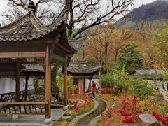 -塔川景区