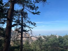 -崂山仰口游览区