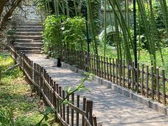 -沕沕水生态风景区