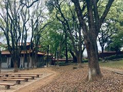 -福清灵石山国家森林公园