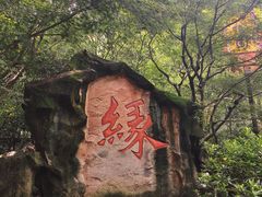 -杭州黄龙洞