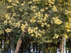 -白塘生态植物园