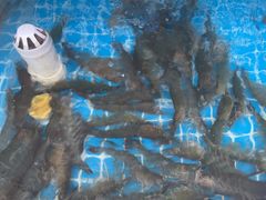 -聚德福海鲜家常菜(刘庄店)