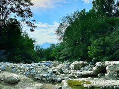 -禅宗少林·音乐大典