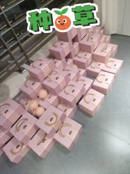 -春田皮肤管理中心品牌旗舰店