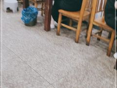 大堂-专业跳跳蛙·彭彭老铺(步行街店)