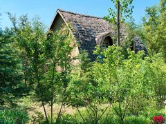 -合肥滨湖国家森林公园