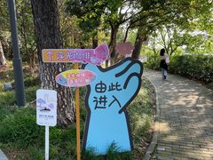 -金鸡湖桃花岛