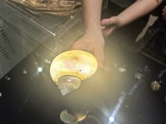 -青岛贝壳博物馆