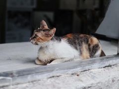 -五道营胡同
