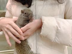 -藦茜花园宠物主题亲子互动体验馆(国顺东路店)