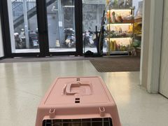 -爱妮康宠物医院·干细胞免疫细胞·肿瘤·心脏(张江店)