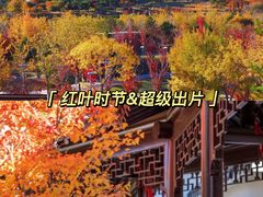 -沉浸北京·团建旅行·密室剧本杀·年会会议轰趴拓展