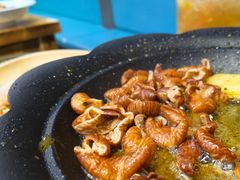 -丁荣华炸串(托乐嘉店)