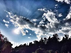 -五营红松林海景区