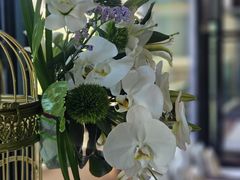 -海南清水湾莱佛士酒店