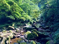 -碧峰峡风景区
