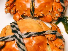 -上宴精品海鲜姿造(晶融汇旗舰店)