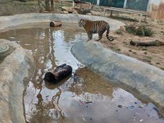 -昆明动物园