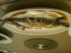 android_upload_pic-双子楼大酒店(城开国际写字楼店)