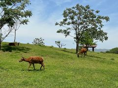 -良渚古城遗址公园