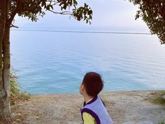 -贡湖湾湿地公园
