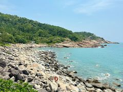 -广东惠东海龟国家级自然保护区