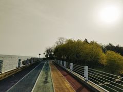 -贡湖湾湿地公园