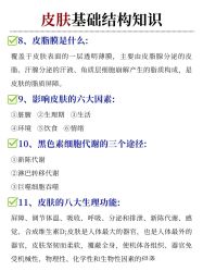 点击看大图 -玛莲朵·海菲秀冰珀科