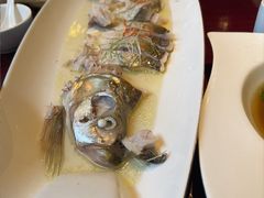 清蒸大白鱼-松鹤楼(山塘街店)