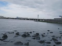 -上海吴淞炮台湾国家湿地公园