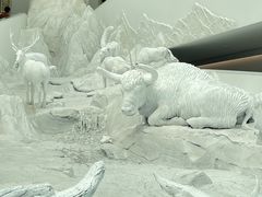 -中国湿地博物馆