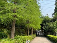-马峦山郊野公园