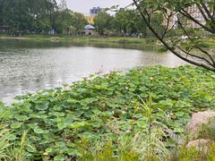 -宁波儿童公园(鄞州区)