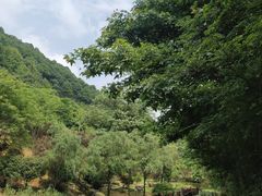 -桃花岭景区