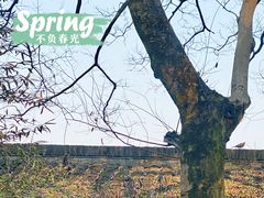 -一江春水·杭帮臻宴(三台山店)