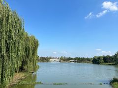 -澹台湖公园