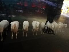 -汉景帝阳陵博物院