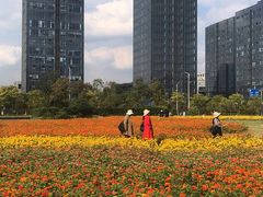 -映月湖中央公园