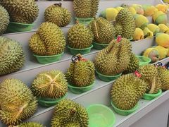 -果唯伊(共和新路店)