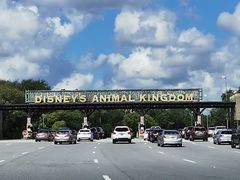 进停车场-奥兰多迪士尼动物王国乐园