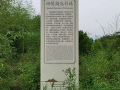 -四明湖