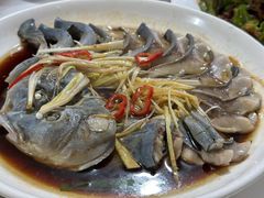 -煲来饱去冷水鱼