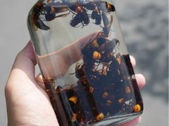 -杨家堂村