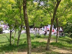 -杨柳青庄园