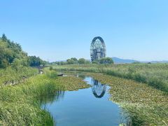 -苏州太湖湖滨国家湿地公园
